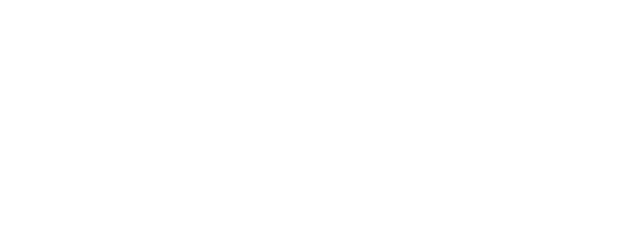 AMIX NUTRITION